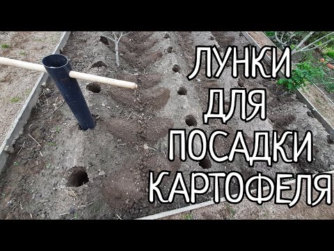 Видео: ЛУНКОДЕЛ ДЛЯ ПОСАДКИ КАРТОФЕЛЯ.250 ИДЕАЛЬНО РОВНЫХ ЛУНОК В ТЕЧЕНИИ ЧАСА,СУПЕР!