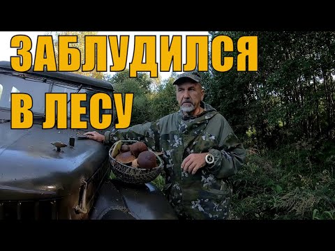 Видео: Как не заблудиться в лесу. Случаи из моего опыта