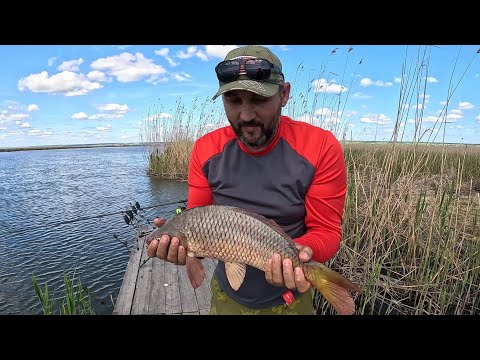 Видео: Рыбалка с ночевкой на реке Днестр ( кресты) ловля сазана 27.04.2024