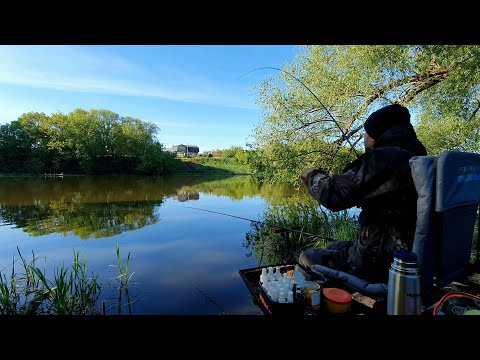 Видео: В поисках карася | Фидерная рыбалка на реке Красивая Меча