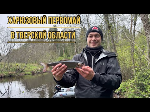 Видео: Путешествие за Тверским Хариусом: непростой путь к улову.
