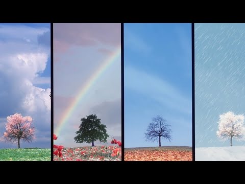 Видео: Четыре способа жить.Психолог Марина Линдхолм