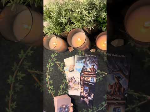 Видео: Что он понял ? Как будет действовать ? 👁️🤍❤️🤔