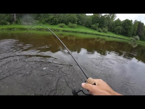 Видео: САМЫЕ ЛУЧШИЕ УНИВЕРСАЛЬНЫЕ приманки на голавля и жереха! АТАКИ на воблеры с поверхности!
