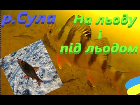 Видео: #Сула # Підводна зйомка і трохи рибалки #РибачуЯкУмію