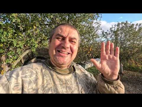 Видео: ✅ Замена Маток в Ноябре! Всегда 100% результат! Пасека на связи! #пчеловодство1