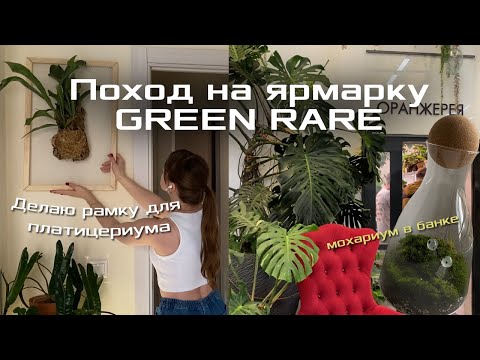 Видео: Ярмарка редких растений GREEN RARE | Делаю рамку для платицериума | Мохариум в банке