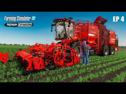 Видео: Новый способ собирать морковку Zielonka Farming Simulator 22 EP 4