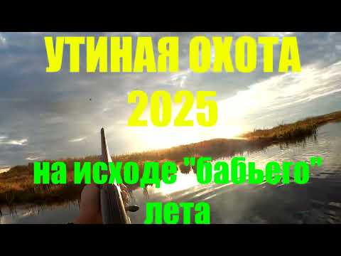 Видео: Утиная охота 2025. В разгар бабьего лета.