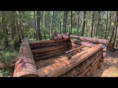 Видео: ОДИН В ДИКОМ ЛЕСУ СТРОЮ БАНЮ и ЖИВУ В ЗЕМЛЯНКЕ | НОВАЯ РЫБАЛКА | мотор mikatsu