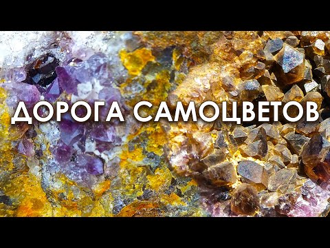 Видео: Дорога самоцветов. Аметисты под ногами