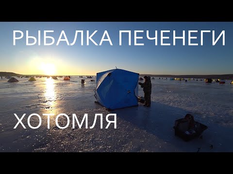 Видео: РВУТ ЛЕСКУ и НЕ ЛЕЗУТ в ЛУНКУ / РЫБАЛКА ХОТОМЛЯ