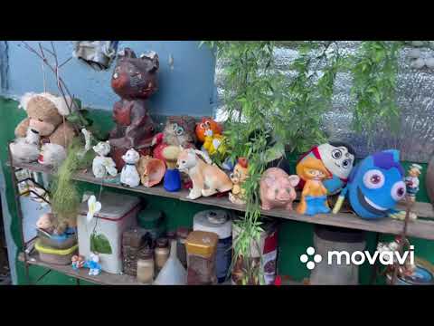 Видео: Вася 18 лет на свалке. Люди свалки, как живут в лесу отшельники. Минск. Мусорщик.