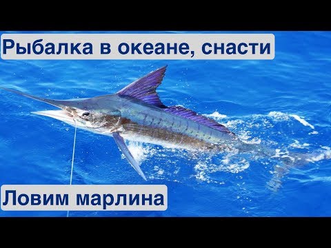Видео: Зимняя рыбалка в океане. Рыболовные снасти | Жизнь на яхте Cupiditas