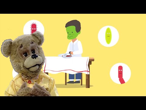 Видео: ✨СПОКОЙНОЙ НОЧИ, МАЛЫШИ!✨ЗОЖкины - Полезные и вредные привычки