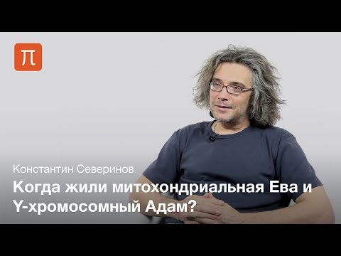 Видео: Северинов Константин — Митохондриальная Ева