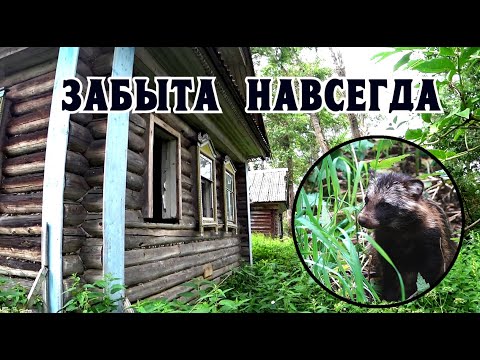 Видео: Заброшенная деревня - Юркино.Тверская область.Их давно тут нет
