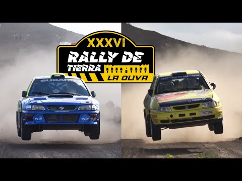 Видео: Оливковое ралли 2025