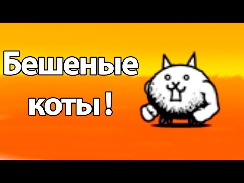 Видео: Бешеные коты ! ( Battle Cats )