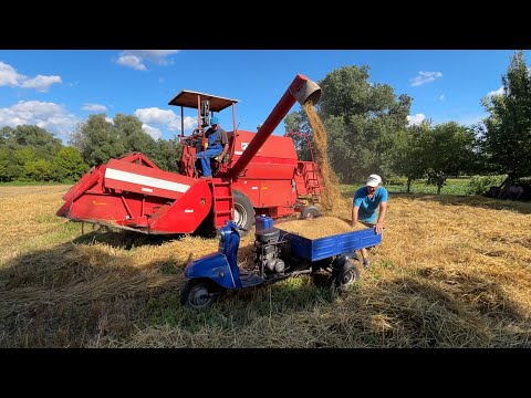 Видео: Жнива 2025 Оце так сипле 😲😲😲