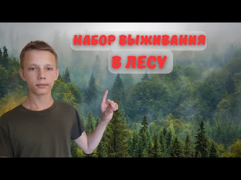 Видео: Минимальный набор для бушкрафта и выживания в лесу / Survival kit in the forest