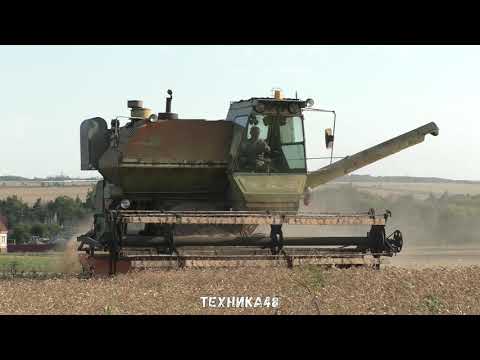 Видео: Легенда в деле! Ухоженная "старушка" Нива СК-5М молотит пшеницу