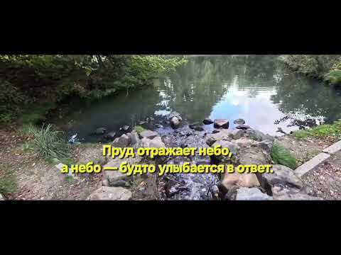 Видео: Wanneer de bladeren  van kleur veranderen..Прогулка по парку Randenbroek. 