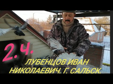 Видео: 2.Ч. НИКОЛАЕВСКИЕ ГОЛУБИ - В ГОСТЯХ У ЛУБЕНЦОВА ИВАНА НИКОЛАЕВИЧА ".Г.САЛЬСК. 24.12.2020.Г.