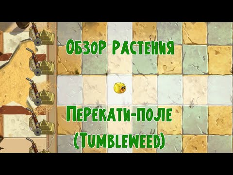 Видео: Обзор Перекати-поле (Tumbleweed), растение из Plants vs Zombies 2