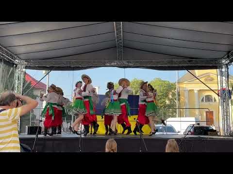 Видео: "Гуляння" Шаля Словаччина "Реверанс" Бунецький І.М