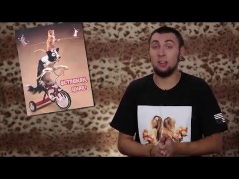 Видео: +100500 на ТВ - 130 выпуск