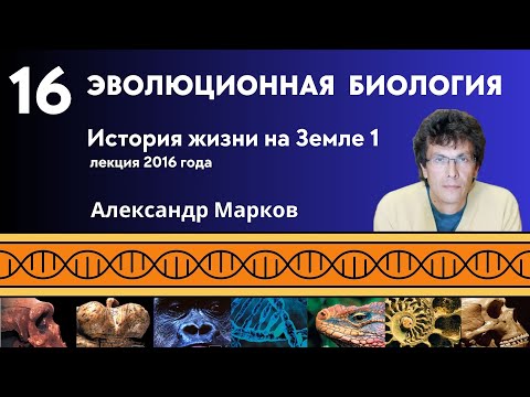 Видео: Происхождение жизни: введение в науку об абиогенезе