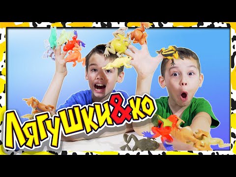 Видео: Лягушки и ко Деагостини 2021 НОВИНКА