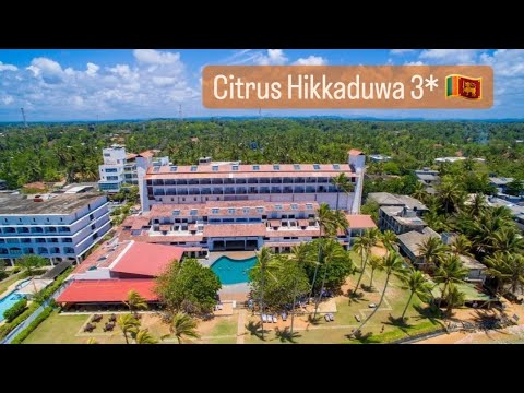 Видео: Citrus Hikkaduwa пляжный отель в Хиккадуве #шриланка