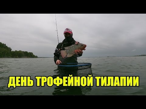 Видео: РЫБАЛКА рядом с АТОМНОЙ СТАНЦИЕЙ! | СТОЛЬКО КРУПНОЙ РЫБЫ мы ещё НЕ ЛОВИЛИ!