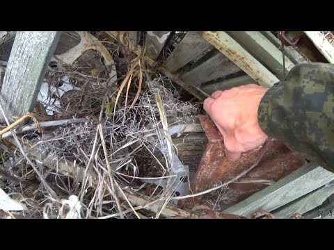 Видео: Заброшенная воинская часть в тайге Якутии!