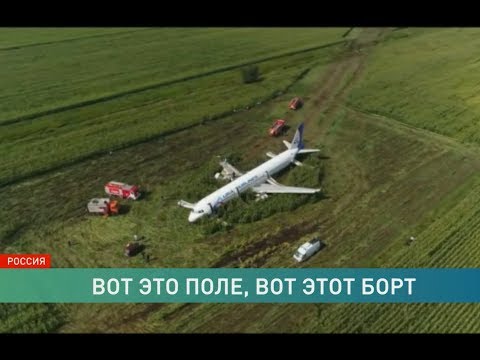 Видео: Русское «чудо в кукурузе» - место для подвига. Авиакатастрофа, в которой никто не погиб