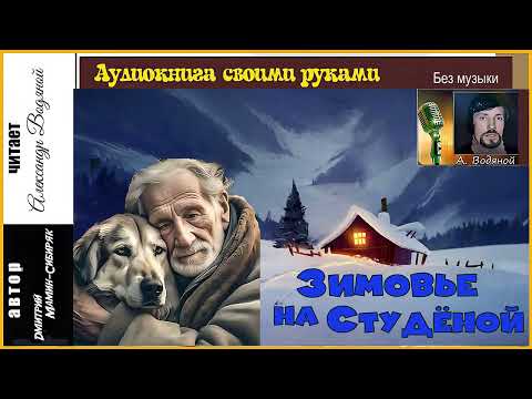 Видео: Д. Мамин-Сибиряк. Зимовье на Студёной (без муз) - чит. Александр Водяной