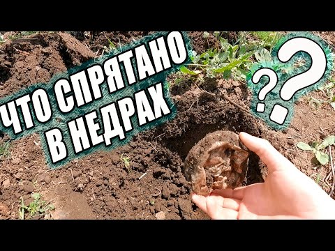 Видео: Раскрыта тайна быта древних хаджибейцев | Докопались до истины  с металлодетектором RUTUS ARGO NE