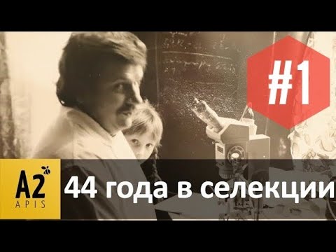 Видео: Юрген #Браузе (DE): про ИО пчелиных маток и не только Ч.1