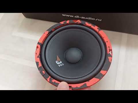 Видео: Dl AUDIO Gryphon Pro 165 Midbass Обзор и прослушка.