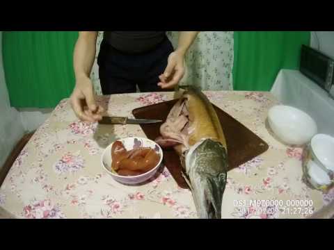 Видео: щучьий деликатес Yakutia
