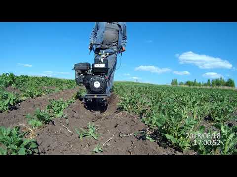 Видео: окучивание картофеля 2018 мотоблоком Угра НМБ 1Н