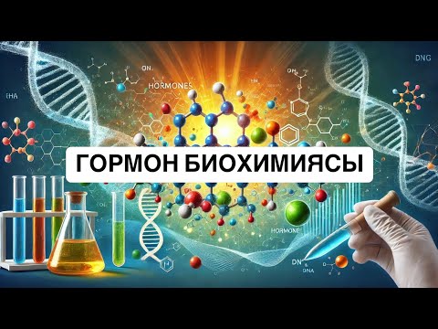 Видео: Гормондар биохимиясы