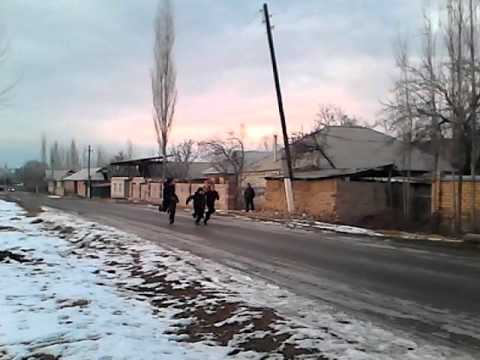 Видео: Сыймык толман