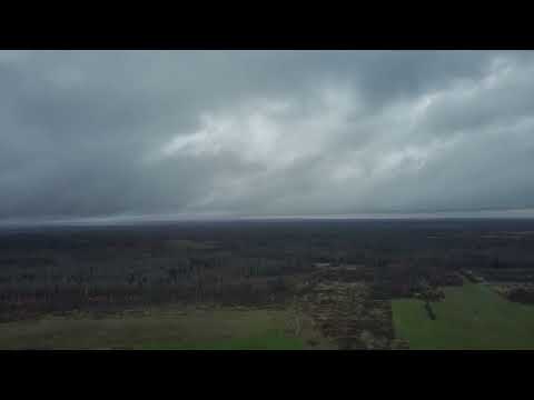 Видео: Немного осени с высоты птичьего полета )