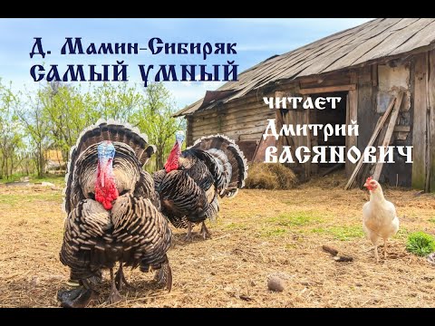 Видео: Д. Мамин-Сибиряк. Самый умный. Читает Дмитрий Васянович
