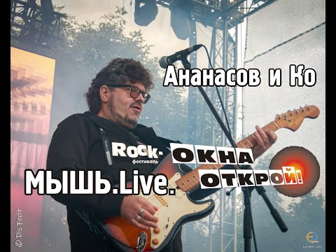 Видео: Ананасов и Ко. Мышь. Live. Петербург. Окна Открой 2024. #гарриананасов #ананасов #ананасовико