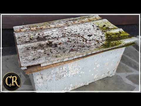 Видео: Когда я его открыл, меня затошнило. Реставрация коробки