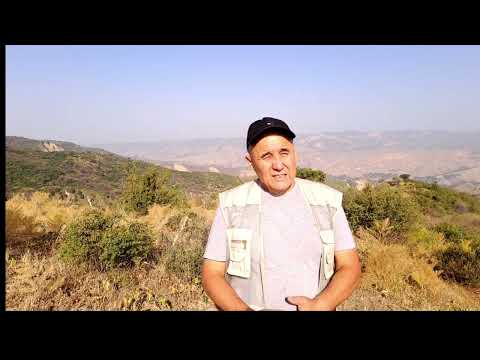 Видео: Голмон сай.